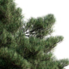 HeliosVegetation vol. free Pines.